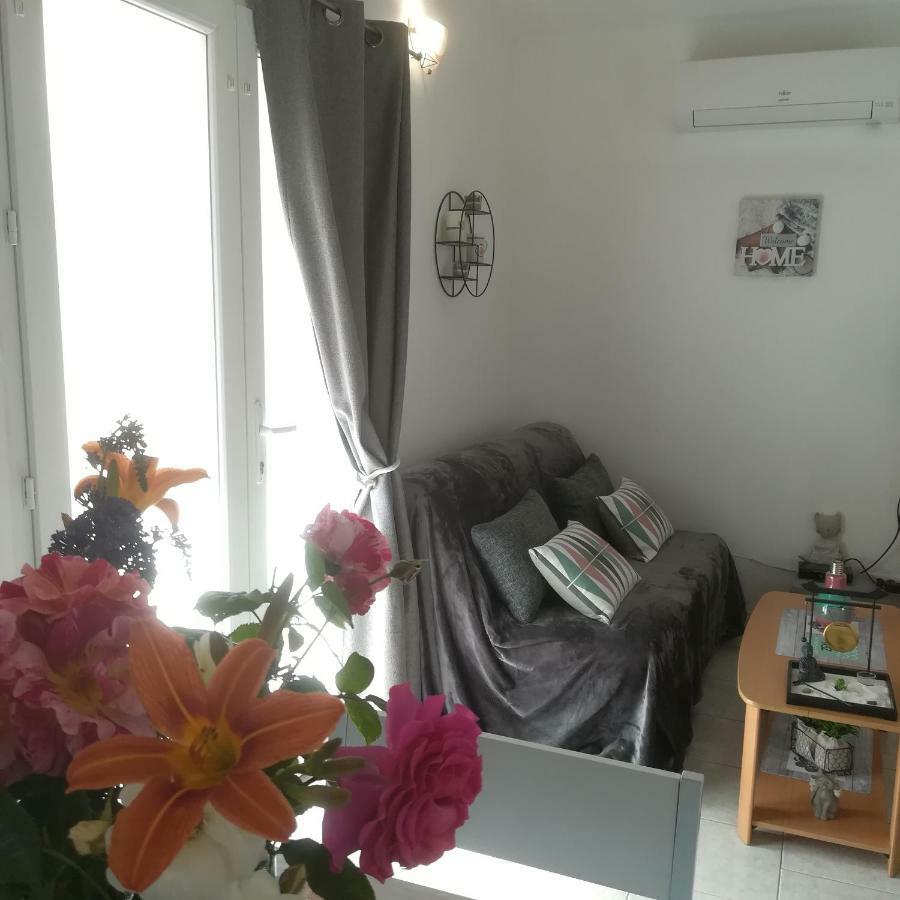 Appartements Dans Villa Privee Avec Piscine, Jardin, Parking Clos, Wifi, Climatisation ميرويْ المظهر الخارجي الصورة